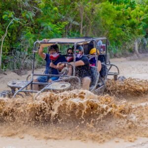 buggy-excursion
