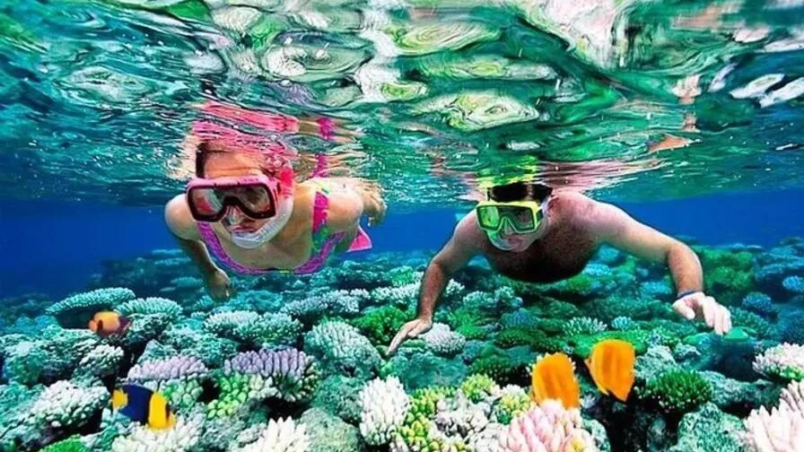 Snorkeling-punta-cana