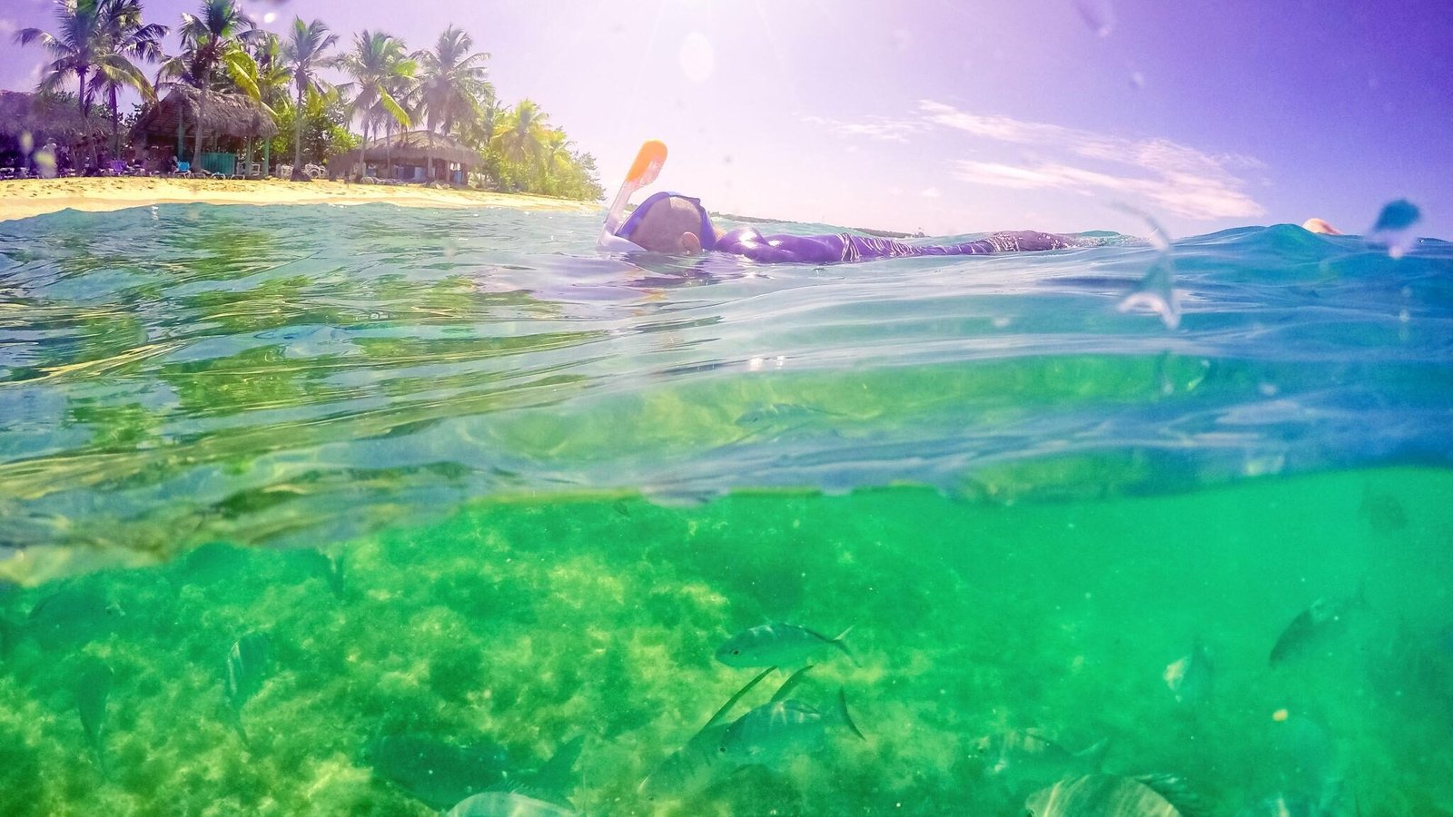 Snorkeling